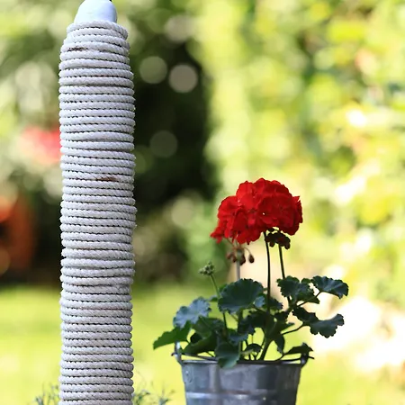 & Petra Vendégház 3*