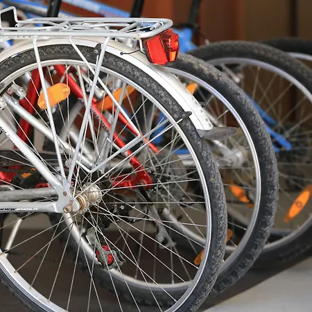 & Petra 扎达尔