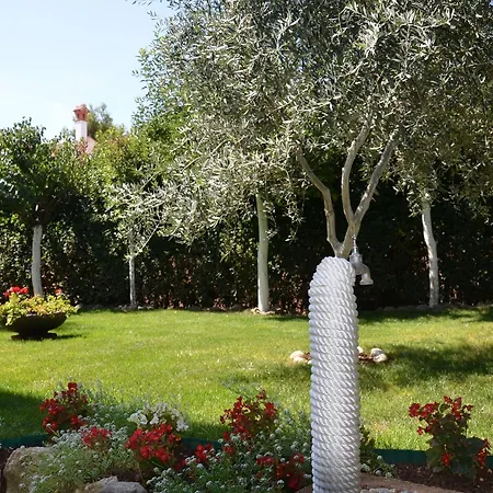 Πανσιόν & Petra Diklo