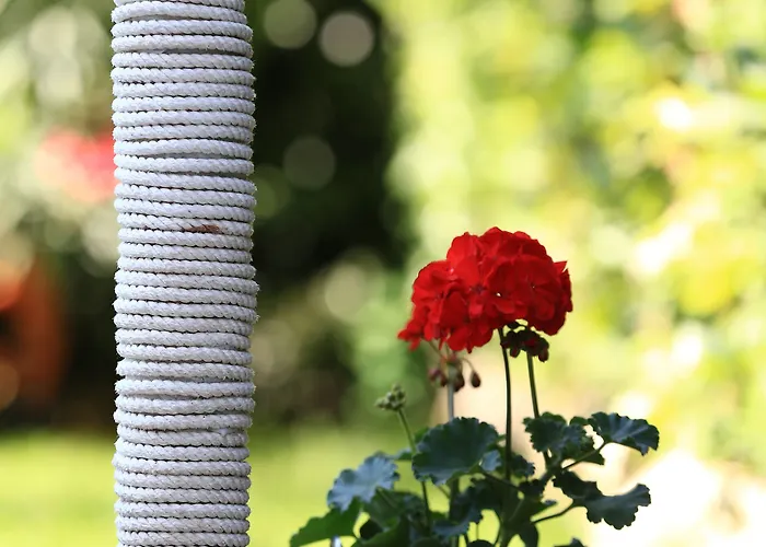 & Petra Guest house 3*